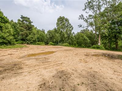 Picture 20